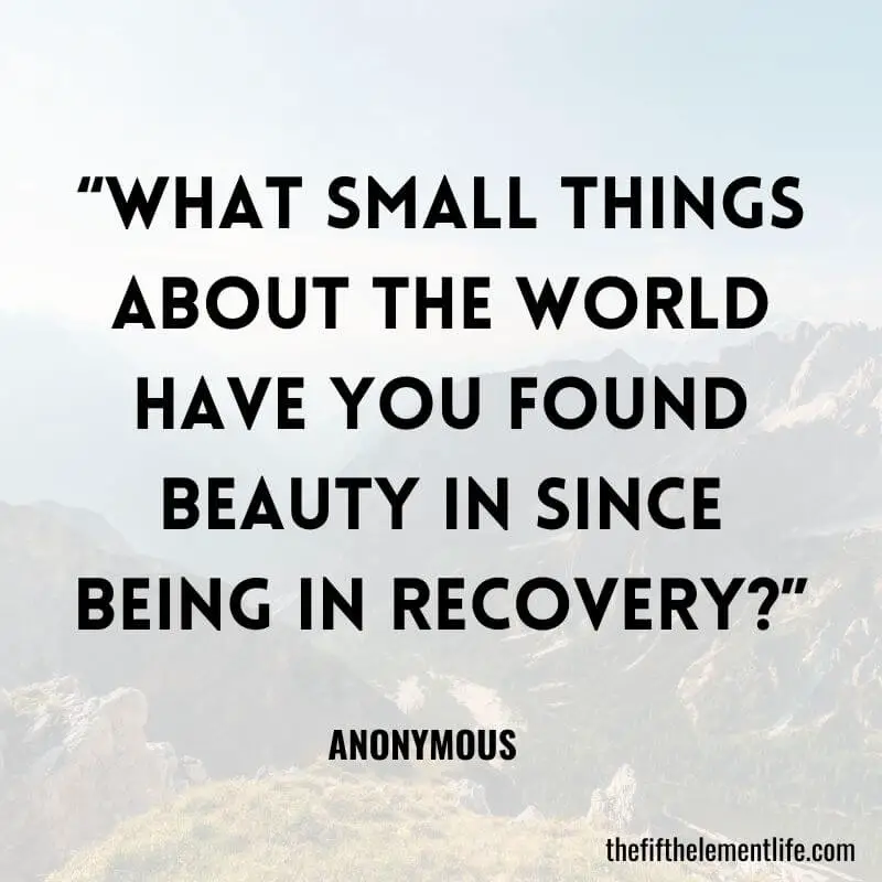 “What small things about the world have you found beauty in since being in recovery?”