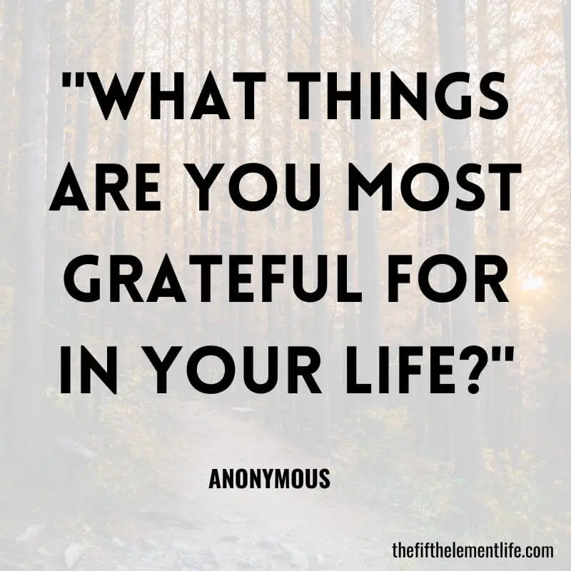 "What things are you most grateful for in your life?"-Reflection Journal Prompts
