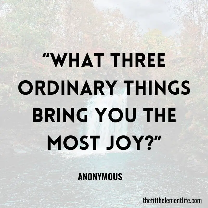 “What three ordinary things bring you the most joy?”-Journal Prompts For Friendships