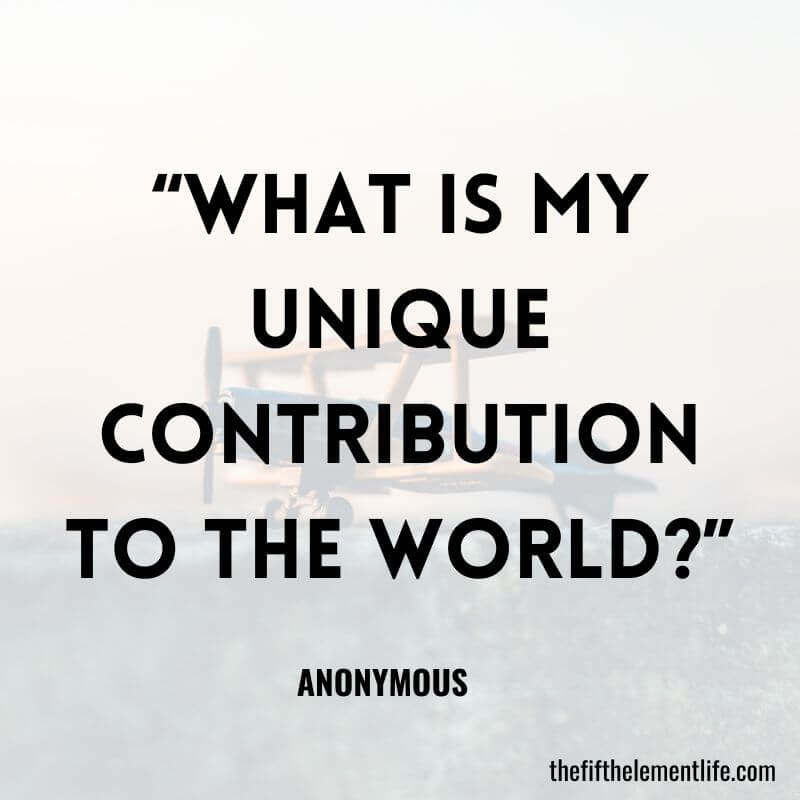 “What is my unique contribution to the world?”