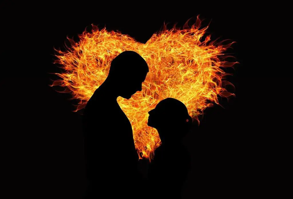 Twin Flame Meaning'