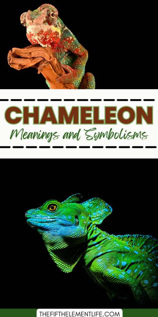 Chameleon Symbolism Types