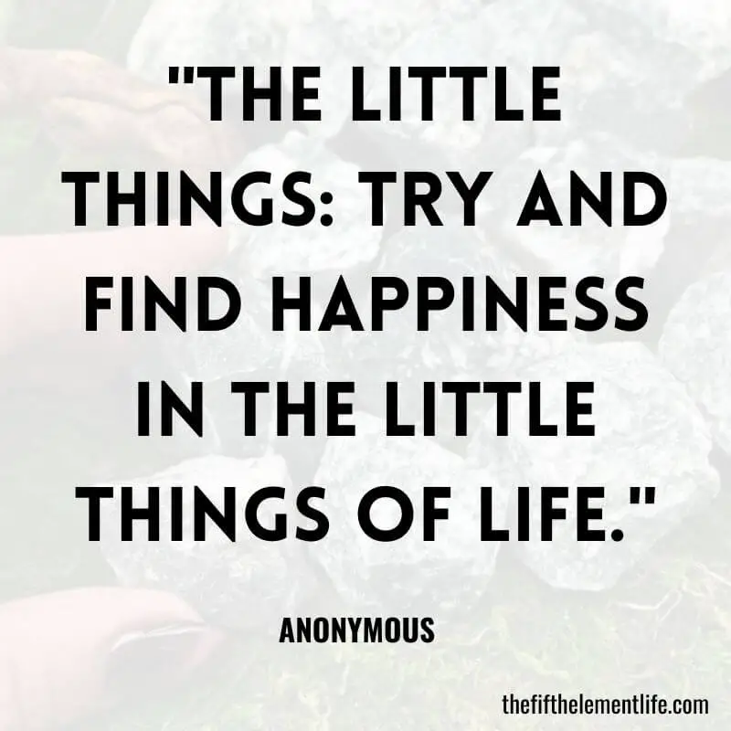 "The Little Things: Try and find happiness in the little things of life."-You Can Be Happy