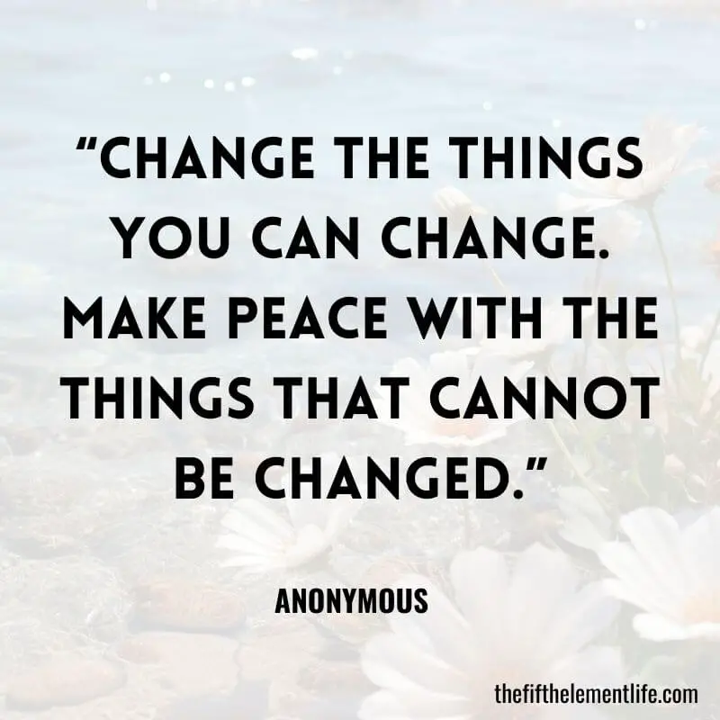 “Change the things you can change. Make peace with the things that cannot be changed.”